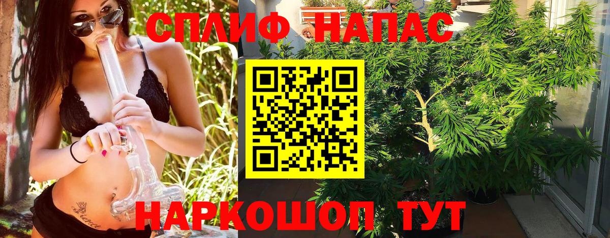 Канабис White Widow  Марихуана марихуана  Старая Русса  Вход с VPN  Конопля марихуана  Каннабис гибрид 
